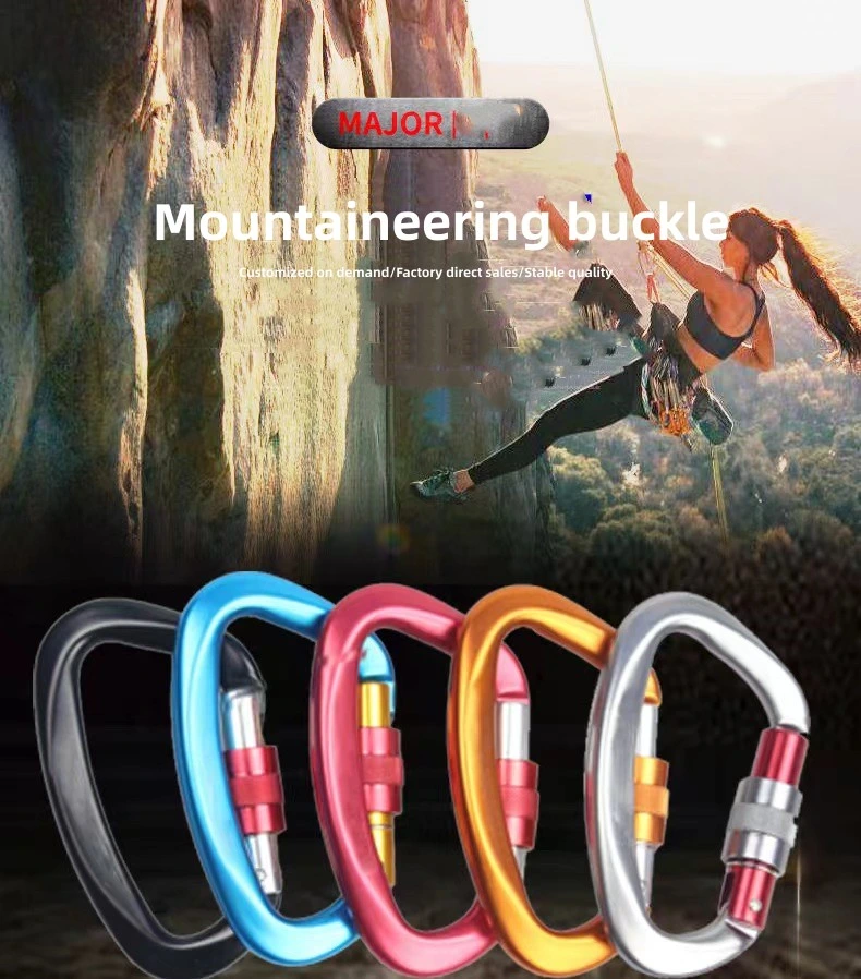 Wholesale Outdoor Sports Aluminum Alloy D Mountaineering Buckle